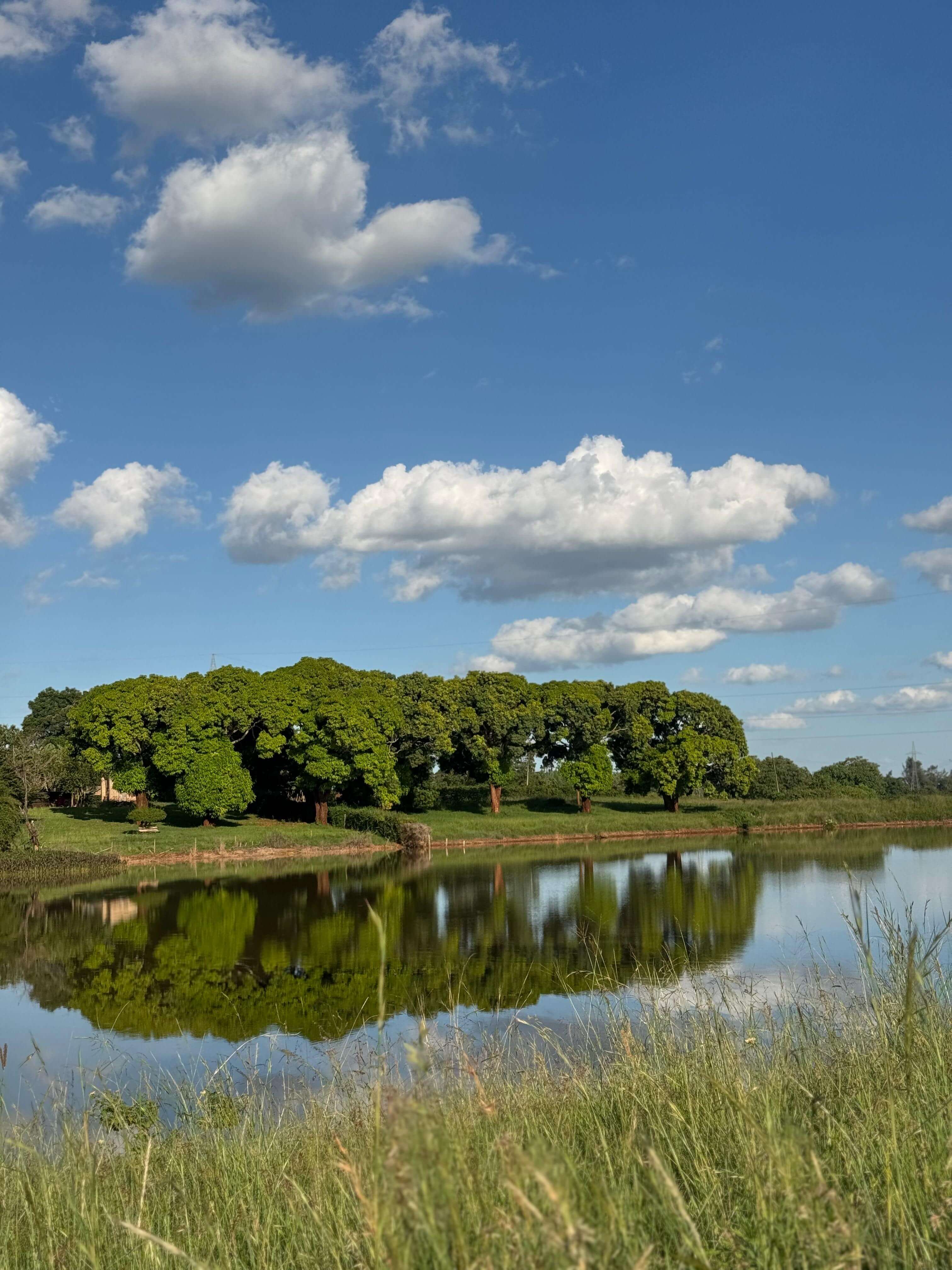 Prime Location - Zuri Springs