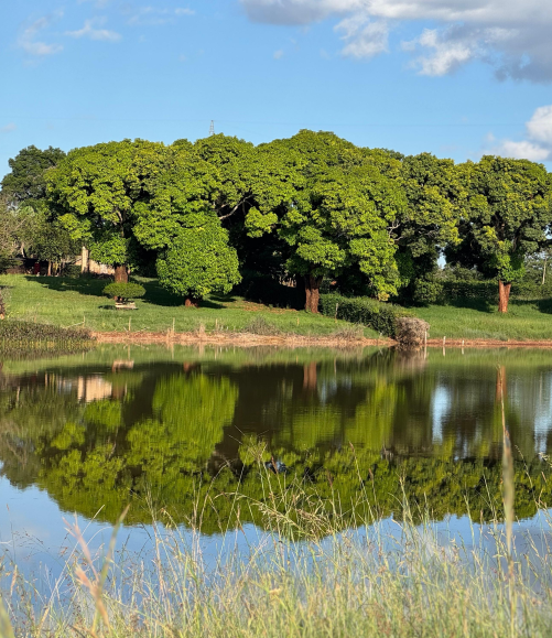 Zuri Springs Master Plan