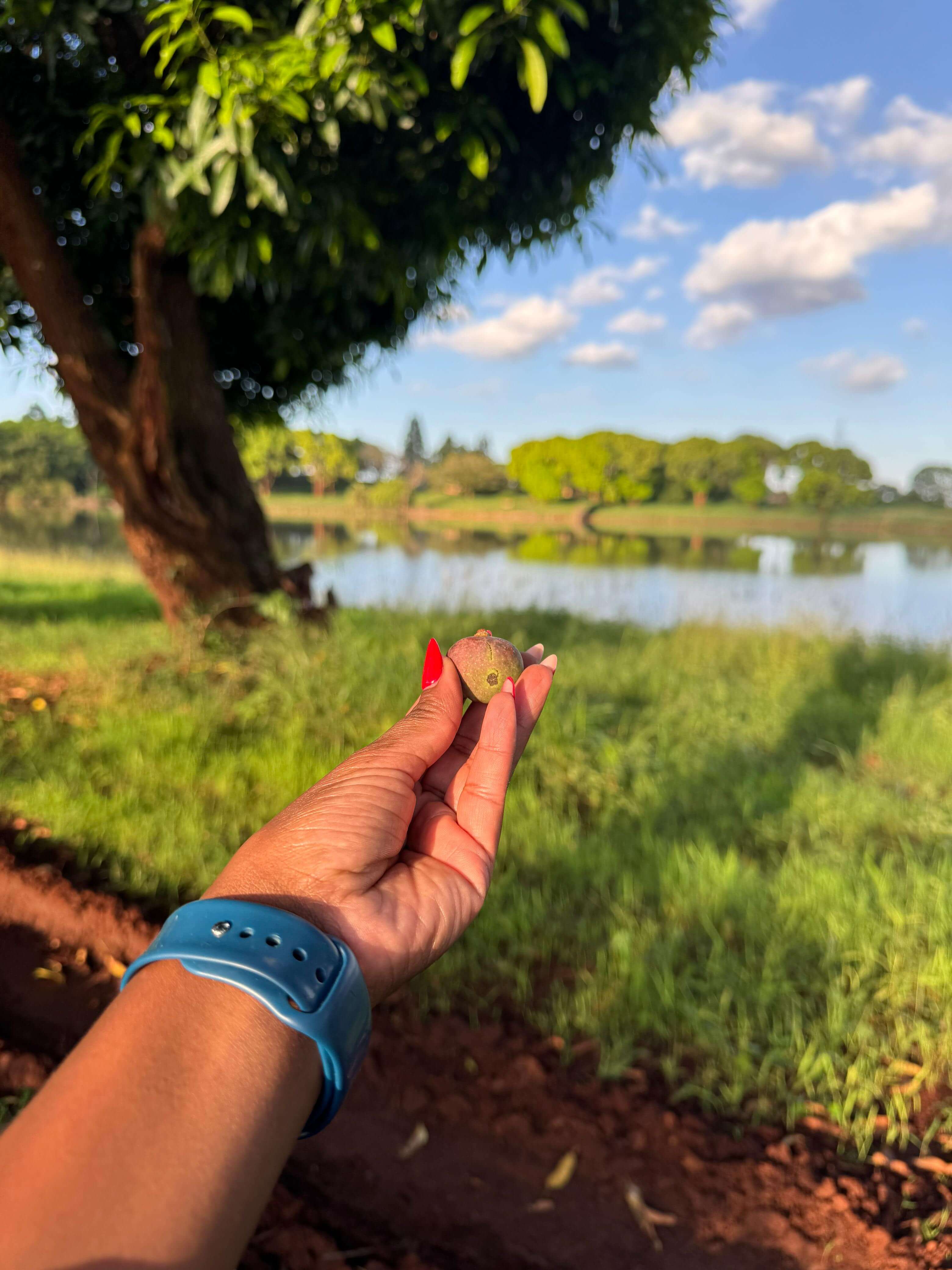 Natural Environment - Zuri Springs